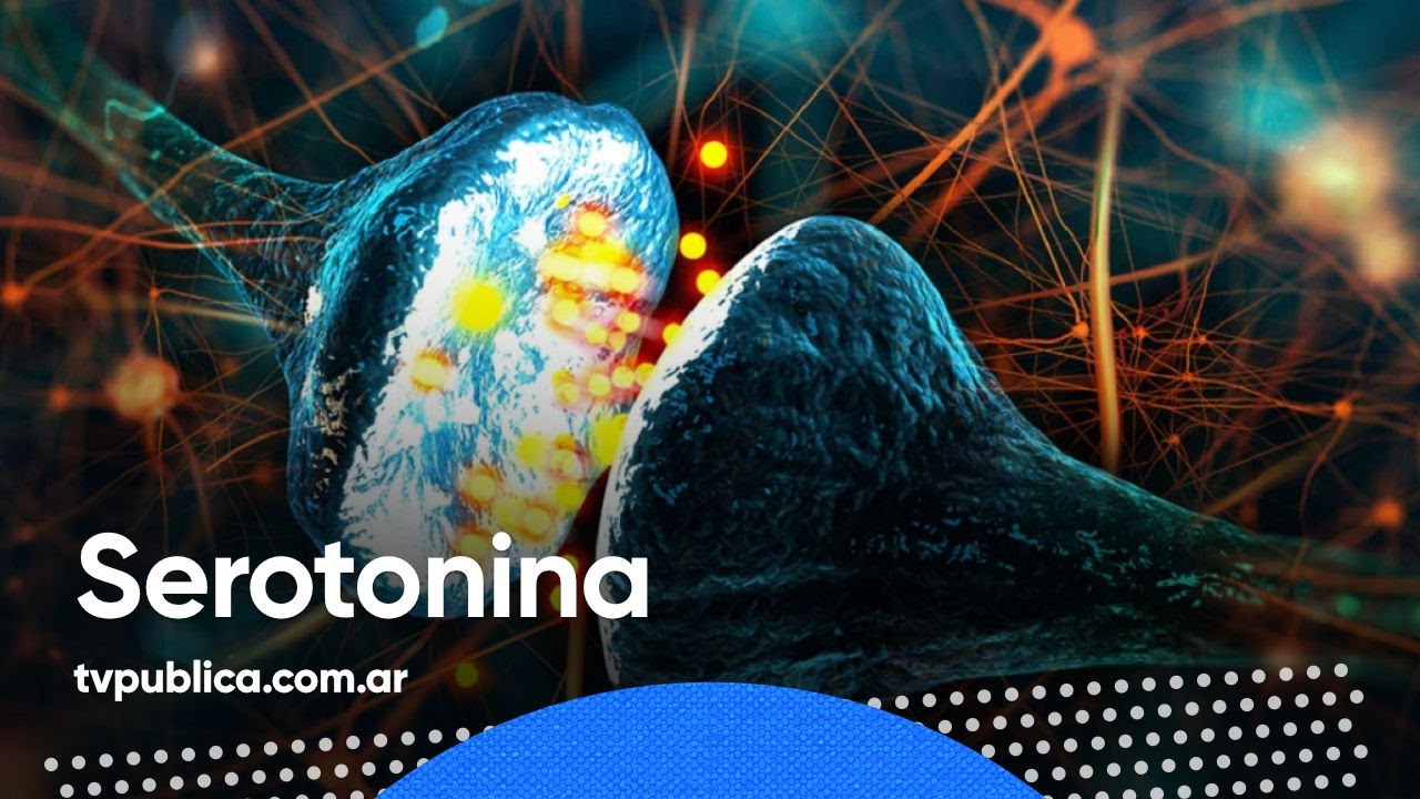 Descubre C Mo Aumentar La Serotonina En Tu Intestino Y Mejorar Tu Salud