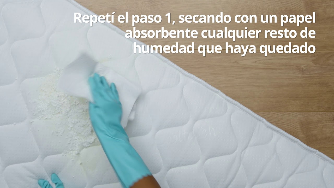 Aprende A Eliminar Manchas De Orina Seca De Tu Colch N En Pocos Pasos